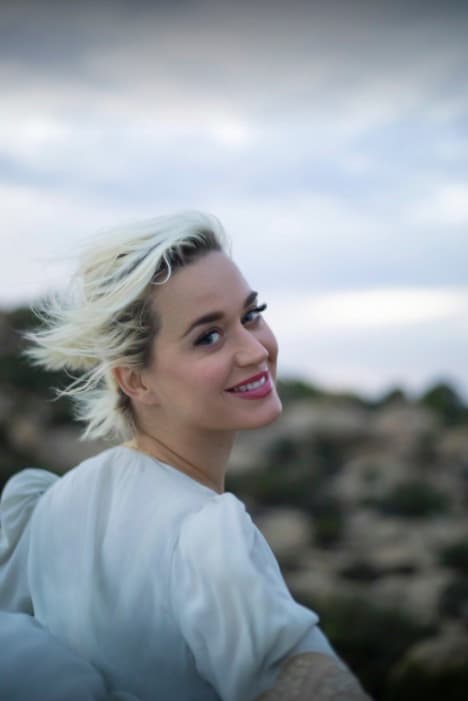 The Meaning Behind Katy Perry's "The One That Got Away"