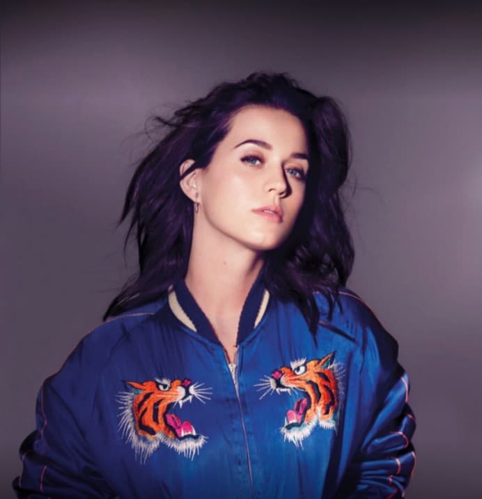 The Meaning Behind Katy Perry's "The One That Got Away"
