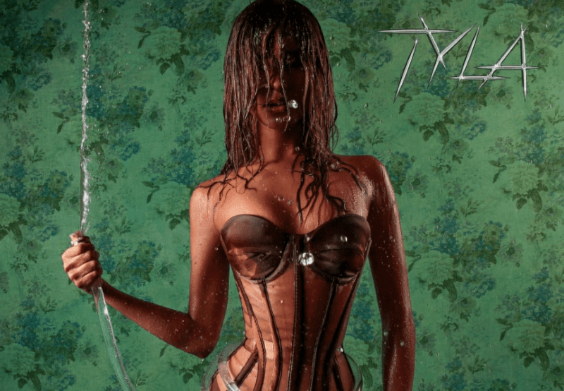 "Chanel" by Tyla: Understanding the Lyrics and Meaning