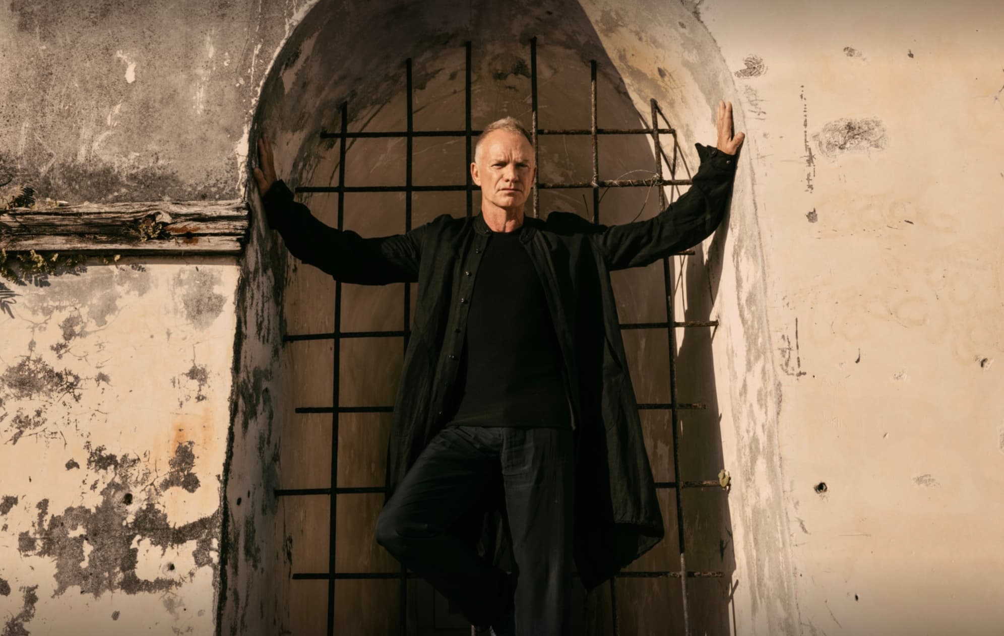 What Sting Reveals in "Shape of My Heart"